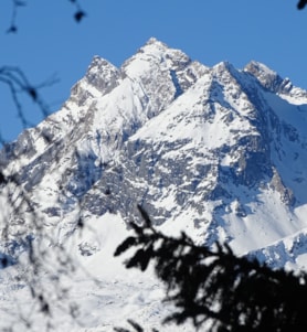 Equities climb the Wall of Worry 